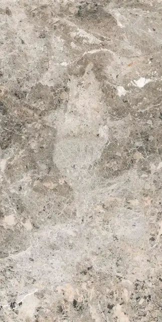 Alaska Grey Pol. 60x120