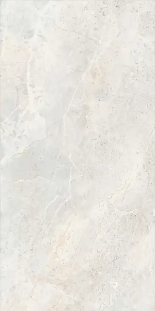Augustus Pearl Natural rect 60x120