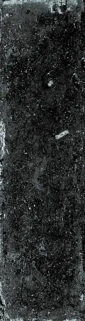 Brickwall Negro |7x28 XX