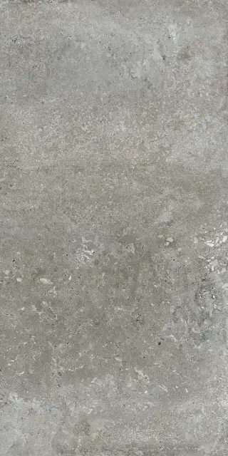 Montpellier Ash compactto 60x120 Rec.XX