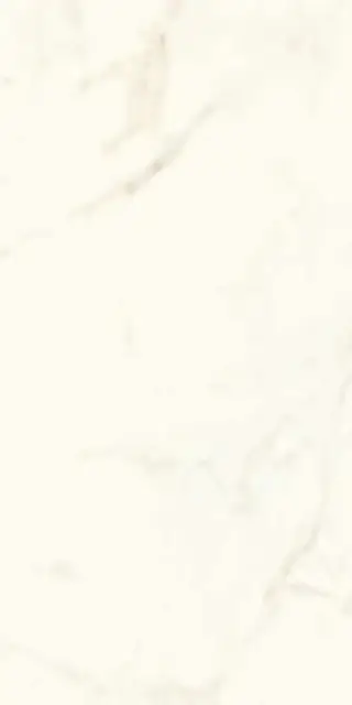Marvel Calacatta Delicato Matt |60x120