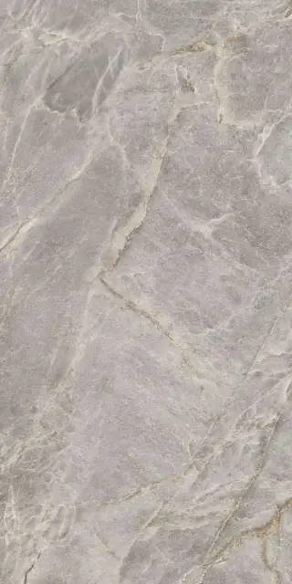 Majestic Grey Silky 60x120