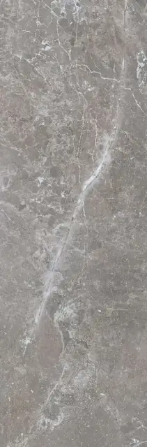 Pietra Antica Grigio XX 33.3x100