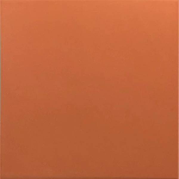 Гранит керамический 30718 RIVOLI Terre 20x20 см