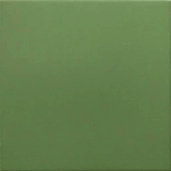 Гранит керамический 30716 RIVOLI Green 20x20 см