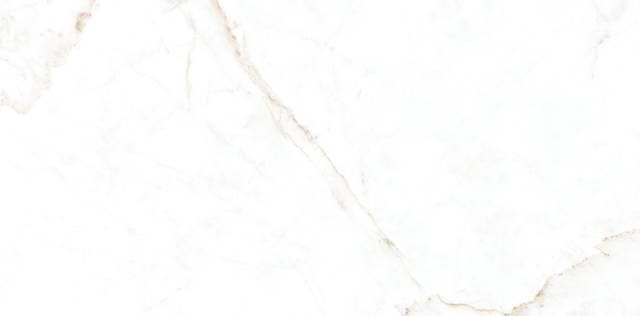 Гранит керамический DUAL White /60x120/EP 60х120х1 см