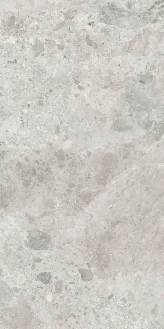Керамогранит ERA BLOOM. ASH NAT R60X120