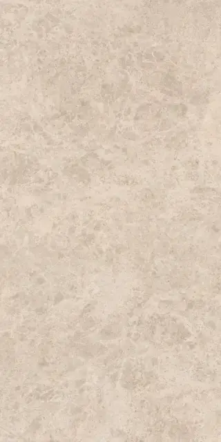 Керамогранит ERA DELIC. TAUPE NAT R60X120