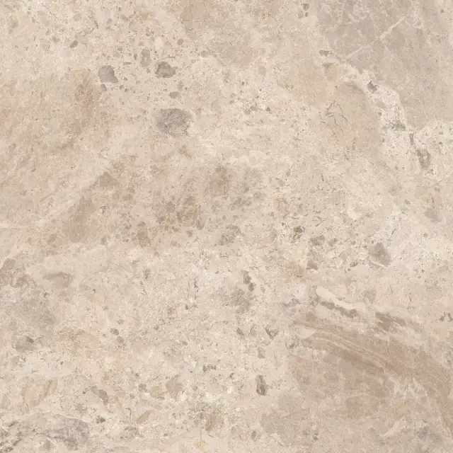Керамический гранит  ERA BLOOM. TAUPE LAP R120X120