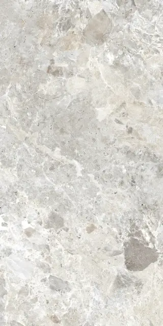 Керамогранит BRECCIA PARADISO SILVER LEVIGATO 60x120