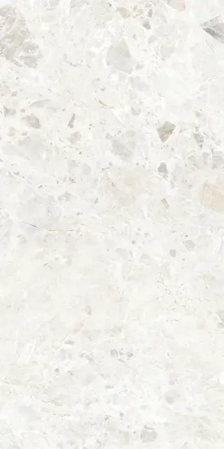 Керамогранит BRECCIA PARADISO WHITE LEVIGATO 60x120