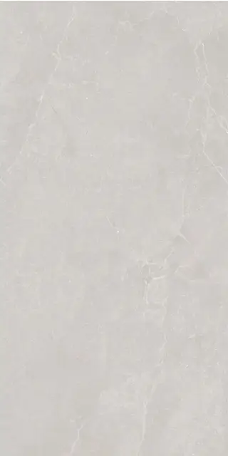 Керамогранит NOBLE STONE GREY 3D SATIN RT 60х120