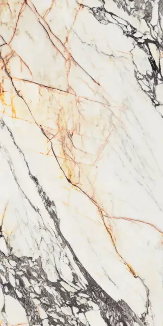 Керамогранит  SPR.TREAS.CORCHIA GOLD NAT R 60X120