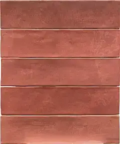 Rose D'antan Glossy