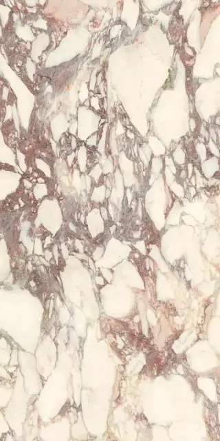 Calacatta Viola Soft 60x120