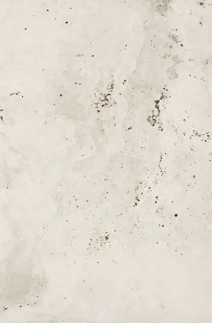 Керамогранит CIR Heritage Ivory 1080534 40x60.8