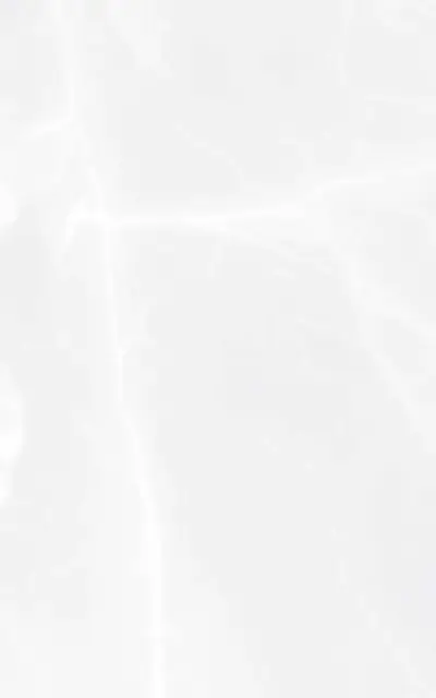 Плитка Gracia Ceramica Эдем Белый Верх 01 010100001549 25x40