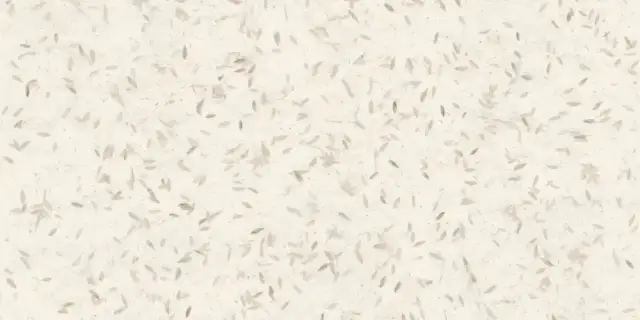 MIRAGE HANJI BEIGE PP SQ 60х120x0.9