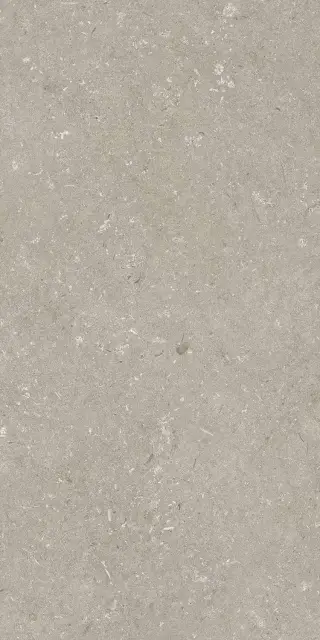 Shellstone Taupe 60x120