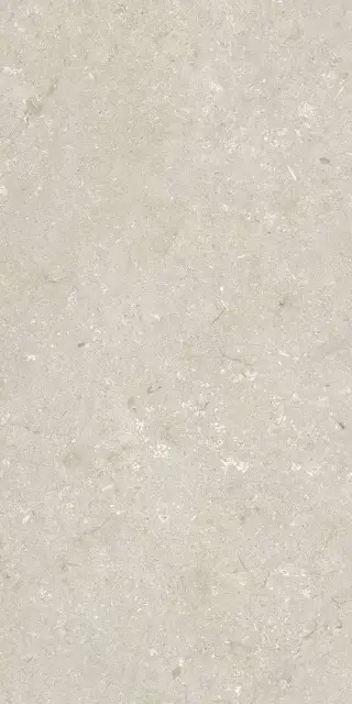 Shellstone Beige 60x120
