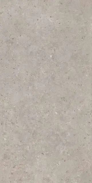 Керамогранит Kerama Marazzi Риккарди Серый Светлый Матовый Обрезной SG519920R 60x119.5