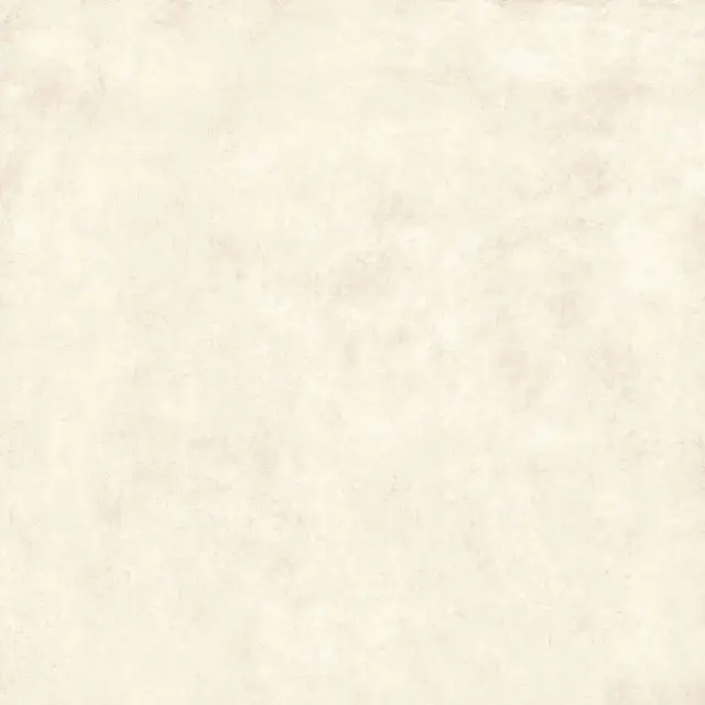 Gravity White XX 80x80