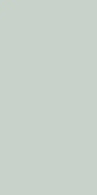 SIROS MENTA 60X120 REC.