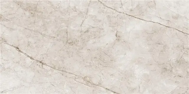 RAIN FOREST WHITE  MAT 60X120 RECT.