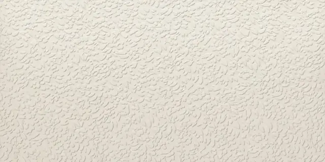 Керамогранит APE Ceramica Argillae Nisus Neve Rect A037707 60x120