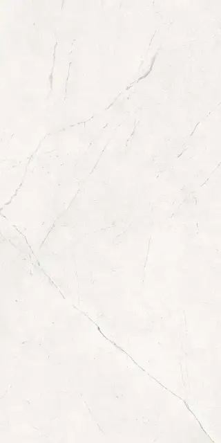 Керамогранит NL00 неполированный рект. ZZ 60x120