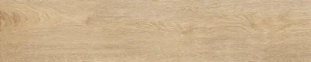 Керамогранит STN Ceramica Tacora Beige Mt Rect 110-013-1 23x120