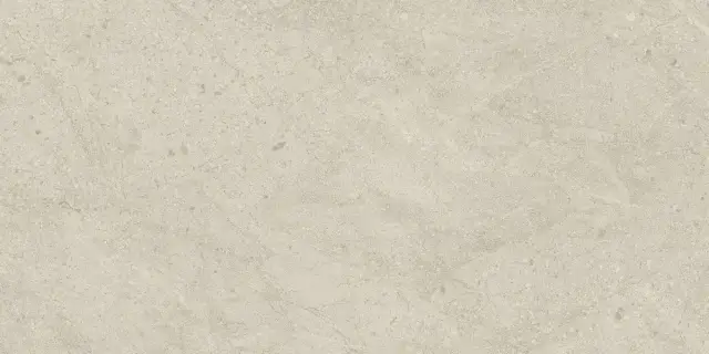 Керамогранит Italon Статус Артик 610010006208 60x120