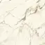CALACATTA GOLD SILK PV6 120X120(A)