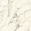 CALACATTA GOLD NAT.PV6 120X120(A)