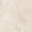 Desert beige  60x60 ZZ