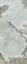 Invisible Green Nat. 120x280