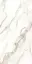 Carrara white 60x120