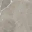 PU.ELEGANT GREIGE LUX 120X120RT