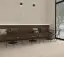 Керамогранит Саутвелл прожилка жемчужный / EC.Southwell vein pearl 60*120