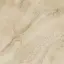 Bone