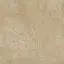 Beige Lapp / Беж Лапп
