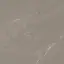 Venaria Grey