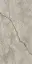 Empire Silver Root Matte
