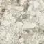 Ceppo Apuano Cream Лаппатированная