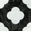 Pin Black_White