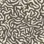 Snake Ebony