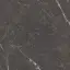MUSEUM ROYAL BROWN ANTISLIP 100х100x0.8 M-80