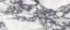 TERZADIMENSIONE CALACATTA VIOLA HONED PLUS 120х278x0.65