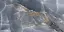 GRESPANIA COVERLAM ALASKA NEGRO 60х120х5.6