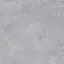 PERONDA GROUND GREY SF/R 60х60 BN-33